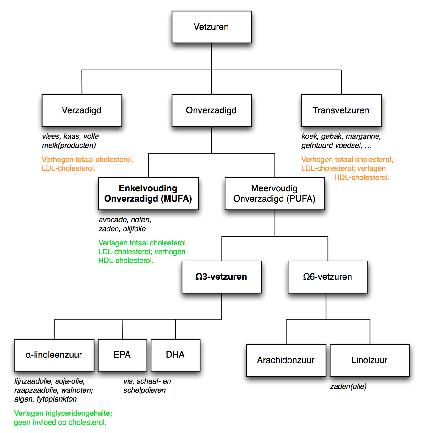 Categorisatie van vetten.