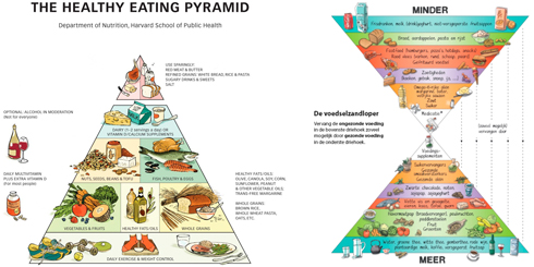 Harvard Healthy Eating Pyramid en Voedingszandloper