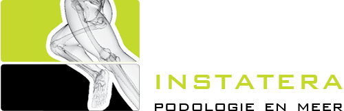 Logo Instatera